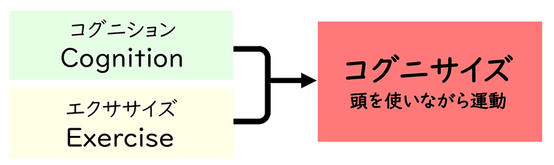 コグニサイズ